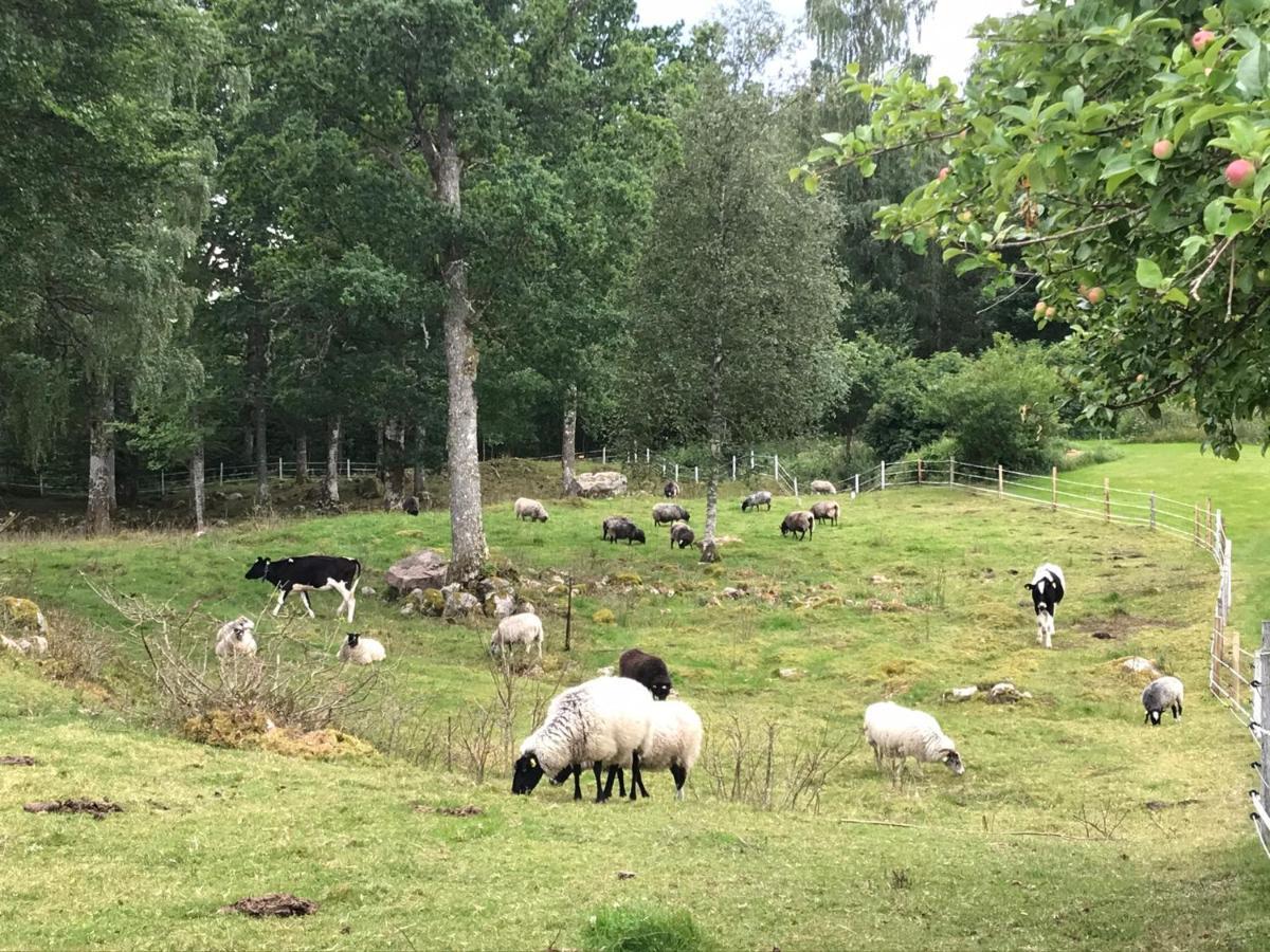 Joarsbo, Stuga 2, Gårdsstugan Kalv Exteriör bild