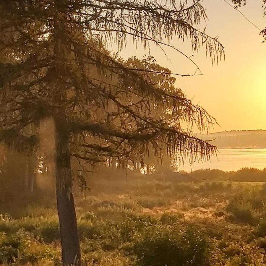 Joarsbo, Stuga 2, Gårdsstugan Kalv Exteriör bild