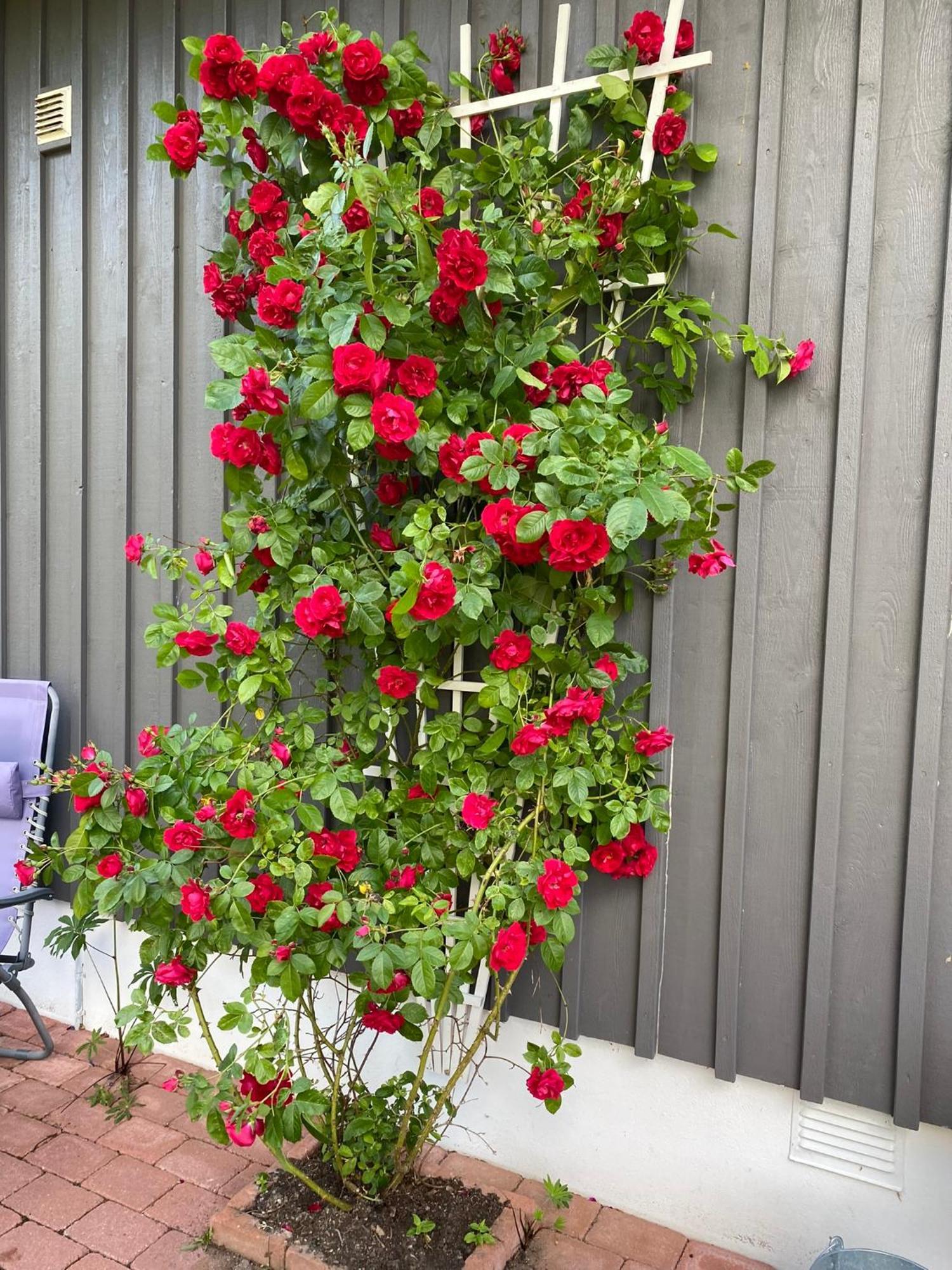 Joarsbo, Stuga 2, Gårdsstugan Kalv Exteriör bild